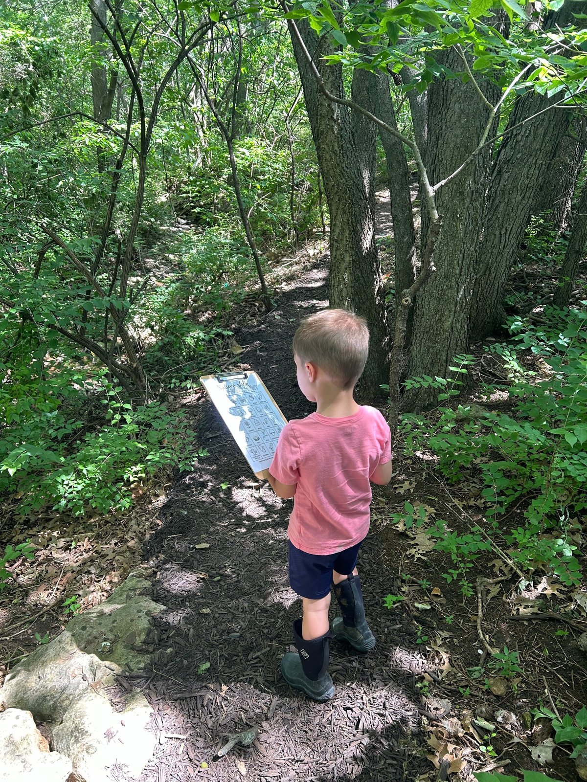Child in a pink shirt holding a map while standing on a woodland trail among large trees